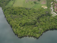 Aerial view of wooded Frautschi Point with Lake Mendota shoreline.
