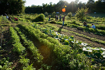 F H King Student Farm Lakeshore Nature Preserve Uw Madison