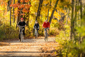 Visitors ride their bicycles on the colorful tree-lined Howard Temin Lakeshore Path during fall at the University of Wisconsin-Madison on Nov. 4, 2016. (Photo by Bryce Richter / UW-Madison)