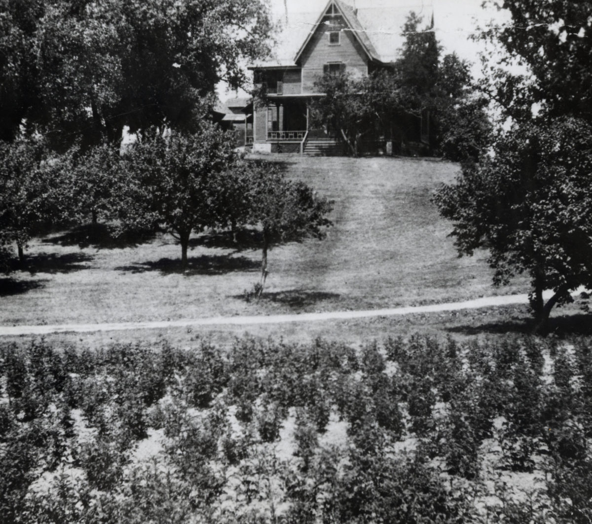 Picnic Point Lakeshore Nature Preserve UWMadison