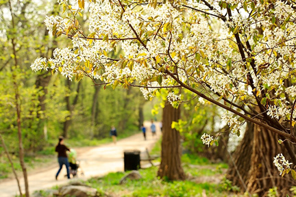 Pedestrians make their way along the Howard Temin Lakeshore Path at the University of Wisconsin-Madison during spring on May 10, 2011.