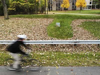 A person on the Howard Temin Lakeshore Path bikes past the goose effigy mound at Willow Creek Woods.