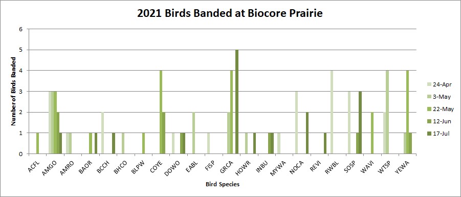 graph. 2021 birds banded a