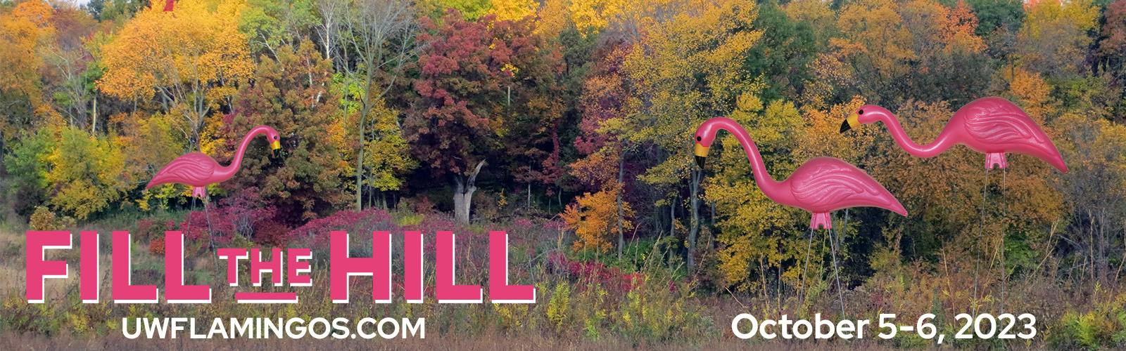 Fill the Hill October 5-6, 2023 uwflamingos.com